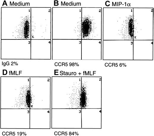 Fig. 4. Cell surface expression of CCR5 by monocytes. / Monocytes incubated with different reagents were stained with an FITC-conjugated anti-CCR5 monoclonal antibody (2D7) and analyzed for the percentage of positively stained populations by flow cytometry. (A) Cells incubated with medium and stained with FITC-conjugated mouse IgG. (B) Cells incubated with medium and stained with FITC–anti-CCR5. (C) Cells treated with MIP-1α (1 μg/mL, 15 minutes, 37°C) and stained with FITC–anti-CCR5. (D) Cells treated with fMLF (10−6mol/L, 60 minutes, 37°C), then stained with FITC–anti-CCR5. (E) Cells pretreated with staurosporine (Stauro; 1.4 ng/mL, 30 minutes, 37°C) followed by fMLF (10−6 mol/L, 60 minutes, 37°C) and then stained with FITC–anti-CCR5.