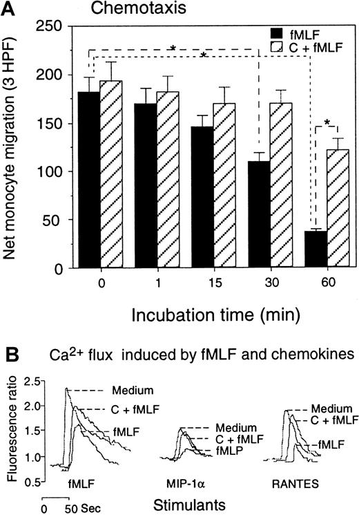 Fig. 5. Effect of fMLF on monocyte response to CCR5 ligands. / (A) Monocytes preincubated with fMLF (10−6 mol/L, 37°C) for the designated time intervals were tested for migration in response to MIP-1β (100 ng/mL). Cells preincubated with calphostin C (50 ng/mL, 2.5 hours, 37°C) followed by fMLF treatment were tested in parallel. Results are expressed as the net number of migrated monocytes in 3 high-powered fields (HPFs) after subtraction of spontaneous migration in response to medium (55 ± 7 cells) (P < .01). (B) Calcium mobilization of monocytes in response to fMLF and chemokines. Monocytes were preincubated with medium (Medium), calphostin C (50 ng/mL, 2.5 hours), followed by fMLF (10−6 mol/L, 37°C, 60 minutes) (C + fMLF), or fMLF (10−6 mol/L, 37°C, 60 minutes) (fMLF); the Ca++ mobilization in response to fMLF (10−6 mol/L) or the chemokines MIP-1α or RANTES (1 ng/mL) was then measured.