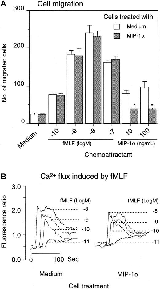 Fig. 6. Effect of MIP-1α on monocyte response to fMLF. / Monocytes were preincubated for 1 hour at 37°C with 1 μg/mL MIP-1α. After washing 3 times with PBS, the cells were examined for migration in response to fMLF and MIP-1α (A). *P < .01 compared with response of cells pretreated with medium alone. For calcium mobilization, monocytes were first loaded with Fura-2 and then treated with MIP-1α for 1 hour at 37°C. After washing, the cells were measured for Ca++ flux induced by fMLF (B).