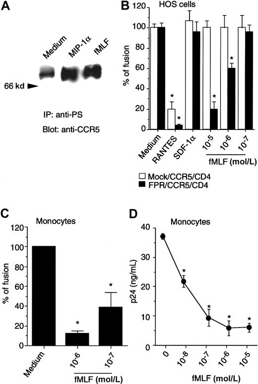 Fig. 7. Effect of activation of FPR on monocytotropic HIV-1–envelope fusion and viral infection. / (A) HOS/CD4/CCR5 cells stably contransfected with FPR cDNA, treated with MIP-1α (1 μg/mL, 1 minute, 37°C) or fMLF (10−6mol/L, 60 minutes, 37°C) were examined for CCR5 phosphorylation with the use of antiphosphoserine antibody for immunoprecipitation followed by immunoblotting with anti-CCR5 antibody. (B) HeLa cells infected with recombinant vaccinia encoding the envelope protein from HIV-1BAL 31 were fused with HOS/CD4/CCR5 cells with (FPR/CCR5/CD4) or without FPR (mock/CCR5/CD4). Chemokines (10 μg/mL) or fMLF were added when env-expressing HeLa cells and target cells were mixed. (C) Human monocytes cultivated for 48 hours in the absence of fetal bovine serum were also fused with HeLa cells expressing the HIV-1BAL 31 env in the presence or absence of fMLF. Results are the mean (± SD) from 2 separate experiments. *Denotes significantly reduced β-galactosidase. (D) Expression of HIV-1 p24 protein following HIV-1 infection of macrophages. rhM-CSF–induced peripheral blood macrophages were exposed to fMLF for 1 hour followed by infection with HIVJRFL. Four hours later, the cells were washed and placed in culture for 6 days; the supernatants were then collected for analysis of p24 by ELISA. * Significantly reduced p24 production. Similar results were obtained with HOS cells transfected with CD4, CCR5, as well as the fMLF receptor FPR (data not shown).