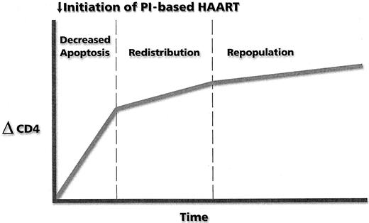 Fig. 3. Kinetics of change in CD4 T-cell number after the initiation of protease inhibitor (PI)–based HAART.