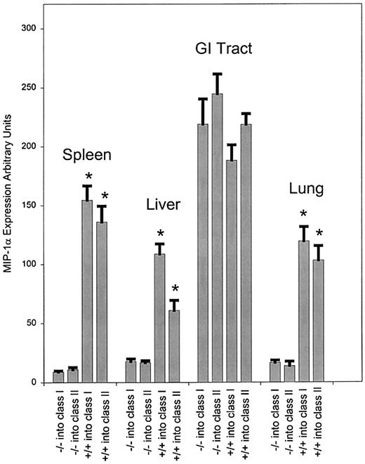 Fig. 2. Expression of mRNA for MIP-1α at day 6 after transfer of either MIP-1α−/− or wild-type splenocytes. / Expression of MIP-1α was evaluated as given previously after transfer of splenocytes from C57BL/6 or MIP-1α−/− B6 donors into bm1 recipients. The bm1 mice were killed on day 6 after the transfer, and RNA was isolated and quantitated as described. We evaluated 3 mice per condition, and the data were pooled from 2 separate experiments. P values were analyzed using the Student t test. *P < .001, which compares the difference of MIP-1α−/− and MIP-1α+/+ splenocytes in class I and class II.