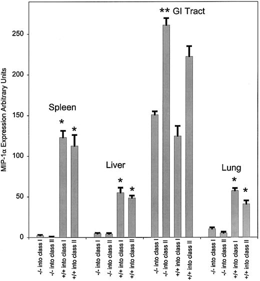 Fig. 3. Expression of mRNA for MIP-1α at day 13 after transfer of either C57BL/6 or MIP-1α−/− B6 splenocytes. / RNA was extracted from the various tissues as indicated in the text and evaluated by RPA. The quantity of mRNA for each condition was normalized to the expression of GAPDH. We evaluated 3 mice per condition, and the data were pooled from 3 separate experiments. P values were analyzed using the Studentt test. *P < .001, which compares the difference of MIP-1α−/− and MIP-1α+/+ for class I and class II; **P = .03.