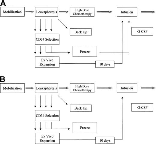 Fig. 1. Schemas for patients. / (A) Ex vivo expansion, cohort 1. (B) Ex vivo expansion, cohort 2.