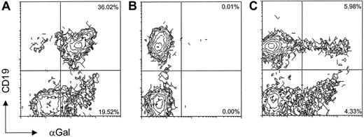 Fig. 1. Expression of αGal epitopes in the blood of reconstituted mice. / Comparison of αGal epitope expression on blood cells from a wild-type GT+ mouse (A), a GT0 mouse reconstituted with NEOr-transduced bone marrow (B), or a GT0 mouse reconstituted with LGTA7-transduced bone marrow (C). Blood samples from reconstituted mice were analyzed 5 weeks after bone marrow transplantation. Shown is the pattern of CD19 (B-cell lineage) versus IB4 lectin (specific for αGal) staining gated on the total lymphocyte population. Expression of αGal epitopes was analyzed on CD19-positive cells because B-lineage cells, even in wild-type mice, express relatively high levels of αGal epitopes (J.B. and J.I., personal observation). Samples shown are from representative mice.