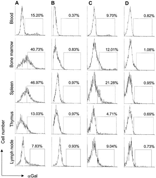 Fig. 3. Analysis of αGal epitope expression in lymphoid tissues. / Analysis of αGal expression in lymphoid tissues of mice reconstituted with either LGTA7- (column A) or NEOr- (column B) transduced bone marrow 18 weeks after bone marrow transplantation by staining with IB4 lectin, followed by flow cytometry. Flow cytometry analysis gates were set as described in Figure 2. Expression of αGal epitopes in lymphoid tissues of secondary mice reconstituted with either LGTA7- (column C) or NEOr- (column D) transduced bone marrow 22 weeks after secondary bone marrow transplantation. Shown are the results from representative mice.