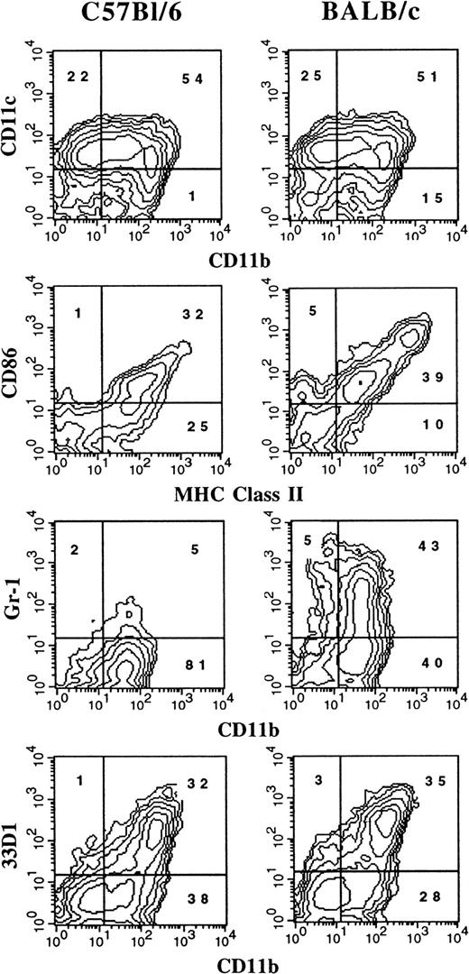 Fig. 1. Flow cytometric analysis of cells generated in FL-supplemented BM. / BM cells from cultures from C57BL/6 or BALB/c mice were cultured at 1 × 106 cells per milliliter in FL for 9 days (see “Materials and methods”). Gates were determined with the use of isotype controls. Analyses were performed a minimum of 3 times for each marker.
