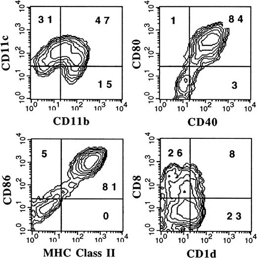 Fig. 7. Flow cytometric analysis of DCs derived from flt3+/lineage− cells. / Flt3+/lineage− cells were sorted from BM and cultured for 9 days in 200 ng/mL FL plus conditioned media from spleen cells. LPS at 1 μg/mL was added during the last 24 hours to induce maturation. Gates were determined with the use of isotype controls as described in “Materials and methods.” Results shown are representative of 5 experiments.