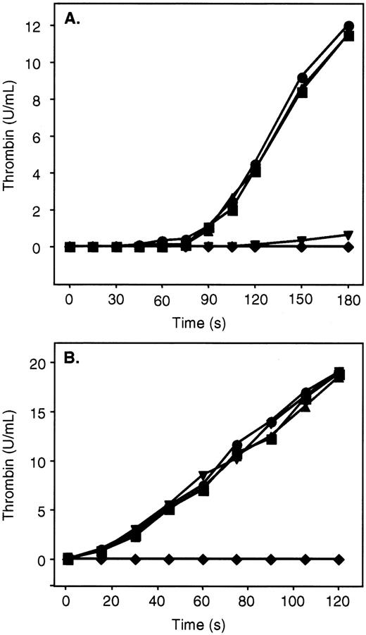 Fig. 4. Inhibition of thrombin generation by ZPI. / Mixtures containing PZ (40 nmol/L), ZPI (69 nmol/L), phospholipids (15 μmol/L), CaCl2 (4 mmol/L), and factor V or Va (6 nmol/L) in HSA were incubated for 2 minutes at room temperature. Prothrombin (1.4 μmol/L) and factor Xa (0.1 nmol/L) were then added in succession to initiate the reaction. Thrombin activity was determined by amidolytic assay. (A) Mixtures containing factor V. (B) Mixtures containing factor Va. ●, without PZ, without ZPI; ▪, with PZ, without ZPI; ▴, without PZ, with ZPI; ▾, with PZ, with ZPI; ♦, factor Xa preincubated with PZ, ZPI, factor Va, phospholipids, and CaCl2 prior to the addition of prothrombin.