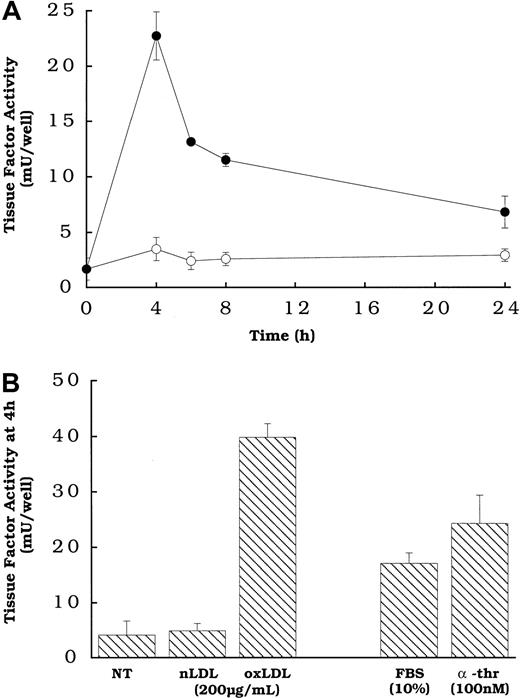 Fig. 1. Oxidized LDL-induced tissue factor pathway activity as a function of time and compared with other known agonists at 4 hours in smooth muscle cells. / (A) Oxidized LDL (●) or native LDL (○), 150 μg cholesterol/mL, was added to rat aortic smooth muscle cells at various times before measuring tissue factor pathway activity. (B) Serum and α-thrombin or lipoprotein was added to wells of rat aortic smooth muscle cells at the specified concentrations 4 hours before tissue factor assay. NT indicates no treatment (control). All cells had been in serum-free DMEM for 48 hours at the time of assay. Data represent means ± SD of 4 wells per treatment. Data are from an experiment representative of multiple experiments.