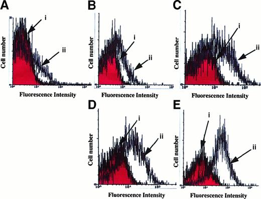 Fig. 5. Flow cytometry analysis of MMPs on the platelet membrane surface. / Resting and collagen- (0.5 μg/mL) activated platelets were treated as described in “Materials and methods.” (A) Nonspecific fluorescence intensity where resting (i) and activated (ii) platelets were pretreated with mouse IgG (control isotype). (B-E) Fluorescence intensities when resting (i) and activated (ii) platelets were pretreated with specific MMP9 (B), MMP2 (C), MT1-MMP (D), and TIMP2 (E) monoclonal antibodies, respectively. Results are representative of 3 separate experiments.