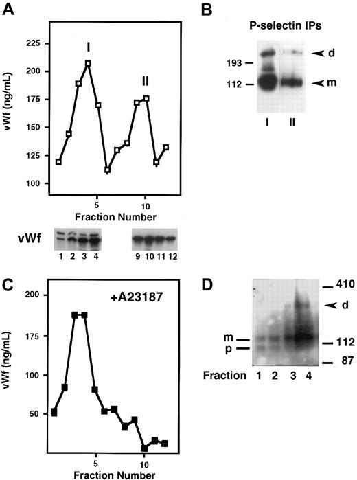 Fig. 4. Subcellular fractionation of HUVECs on Percoll gradients. / Resting HUVECs (A,B), or HUVECs stimulated with A23187 (C,D) were treated with DPDPB, homogenized, and fractionated on a 35% Percoll gradient. (A) Fractions were collected and analyzed by ELISA for the presence of vWf, which is present in 2 peaks: the first represents the ER/Golgi fraction (I) and the second represents Weibel-Palade bodies (II). Fractions 1 to 4 from peak I and 9 to 12 from peak II were analyzed by immunoblotting with a vWf polyclonal antibody. The Weibel-Palade fraction is recognized by the presence of only the mature subunit of vWf in this fraction, whereas both the precursor (260 kd) and mature subunit (220 kd) are present in the ER/Golgi fractions. (B) P-selectin was immunoprecipitated with a polyclonal antibody from pooled fractions 3 to 5 (peak I) and fractions 9 and 10 (peak II) and then immunoblotted with monoclonal P-selectin antibody AC1.2. P-selectin dimer (d) and monomer (m) are detected in both samples. (C) vWf ELISA profile obtained from A23187-treated HUVEC homogenates fractionated on a Percoll gradient. (D) P-selectin immunoblot of early fractions from a Percoll gradient of cross-linked, A23187-treated HUVECs. Fractions 1 and 2 contain P-selectin precursor (p) and mature subunit (m). Fractions 3 and 4 contain mature subunit and P-selectin dimer (d).
