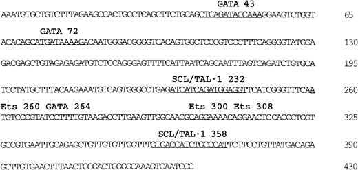 Fig. 2. Nucleotide sequence and putative transcription factor binding sites of the 430-bp. / Flk-1 enhancer. Sequences matching known transcription factor binding sites are underlined. The sequence of the 430-bp Flk-1 minimal enhancer is deposited in GenBank (accession number AF 153058).