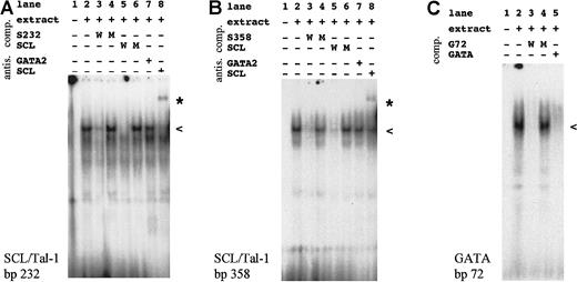 Fig. 4. Electrophoretic mobility shift assays demonstrating specific binding of SCL/Tal-1 and a GATA factor to the. / Flk-1 minimal enhancer. SCL/Tal-1–containing complexes interact with SCL/Tal-1 motifs at bp 232 (A) and at bp 358 (B), and a GATA factor interacts with the GATA motif at bp 72 (C) of the minimal enhancer. Antis indicates antiserum; comp, competitor oligonucleotide; W, wild-type; M, mutant.