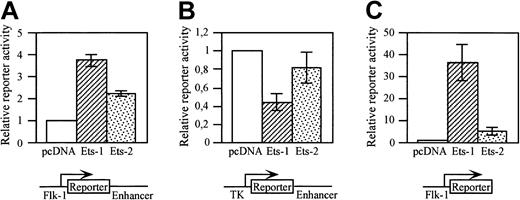 Fig. 6. The. / Flk-1 promoter is activated by c-Ets1 and c-Ets2.A293 cells were cotransfected with LacZ (A,B) or luciferase (C) reporter gene constructs containing Flk-1 gene regulatory elements and with expression vectors for c-Ets1, c-Ets2, or pcDNA3 as control. The structures of the reporter gene constructs are shown in the bottom panels. (A) Cotransfection with a LacZ reporter gene construct containing the 939-bp Flk-1 promoter and the 430-bp minimal enhancer. (B) Cotransfection with a LacZ reporter gene construct containing the TK promoter and the 430-bp minimal enhancer. (C) Cotransfection with a luciferase reporter gene construct containing the 939-bp Flk-1 promoter. Relative promoter activities were determined as described in “Materials and methods.” The promoter activities of the control transfections were arbitrarily set at 1. The relative induction levels shown in A and C are not comparable because of the different stabilities of the different reporter gene products (β-galactosidase versus luciferase).
