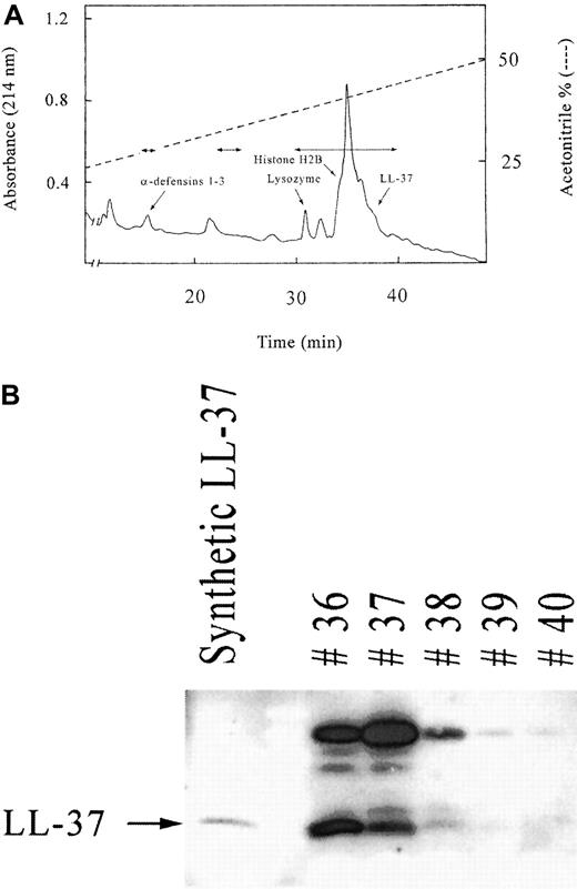 Fig. 1. Antibacterial components in T cells and natural killer (NK) cells. / (A) Results of reversed-phase chromatography with the supernatant from T cells and NK cells stimulated with interleukin (IL)–2. The distribution of the antibacterial activity is indicated in the chromatographic profile by double-headed arrows. The characterized antibacterial components were α-defensins (HNP 1-3), lysozyme, a fragment of histone H2B, and LL-37. (B) Western blot analysis for the presence of LL-37 in chromatographic fractions. The chromatographic fractions 36 to 40, which were positive for LL-37 in dot-blot analysis, were further characterized by Western blotting. The lower band in fraction 36 to 38 corresponds to the mature LL-37, whereas the higher bands probably correspond to oligomeric forms.