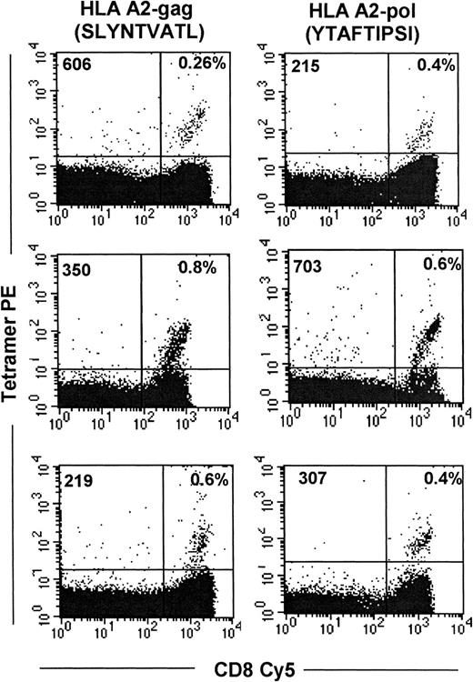 Fig. 4. Identification of circulating HIV-specific CD8+ T cells with HLA-A2–SLYNTVATL and HLA-A2–YTAFTIPSI tetrameric complexes. / PBMC were costained with streptavidin PE–conjugated tetramers and CD8-Cy5. Flow cytometric analysis was performed on a lymphocyte-gated population. Results represent analyses of samples from representative seropositive subjects.