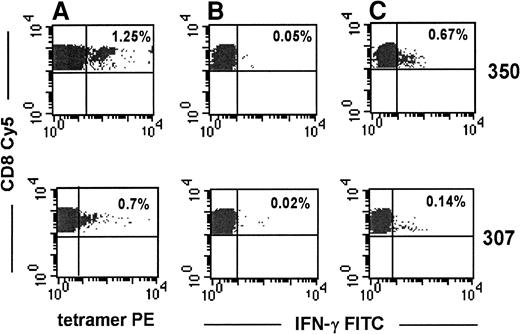 Fig. 5. Representative flow cytometric analyses of peptide-specific IFN-γ production by tetramer-binding cells. / PBMC from subjects 307 and 350 were stimulated with the relevant HLA-A2 gag or RT peptide for 8 hours. Brefeldin A (10 μmol/L) was added during the last 4 hours of incubation. Cells were washed and stained with tetramer PE, CD8-Cy5, and IFN-γ FITC. (A) Percentages represent the proportion of tetramer-staining cells within the CD8-gated population. (B, C) IFN-γ–secreting CD8 T cells in the absence or presence, respectively, of cognate peptide.