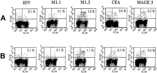 Fig. 4. Intracellular IFN-γ staining of peptide-specific CD8+ T cells in patient no. 8 after 6 and 9 vaccinations. / For details, see legend to Figure 3. In addition, CEA and MAGE-3 peptides were used in this assay. (A) T-cell response after 6 vaccinations. (B) T-cell response after 9 vaccinations. FL-1 represents staining with anti-CD8, FL-2 represents IFN-γ staining.