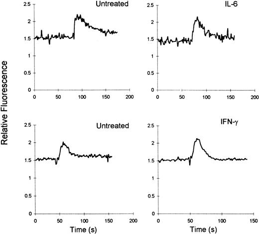Fig. 5. IFN-γ and IL-6 do not alter SDF-1–induced Ca++ flux in MDMs. / Six-day MDMs untreated or treated with cytokines were loaded with Fura 2, and Ca++-dependent fluorescent changes in response to SDF-1α (100 nmol) were recorded. Results are representative of 5 and 6 experiments for IFN-γ and IL-6, respectively.