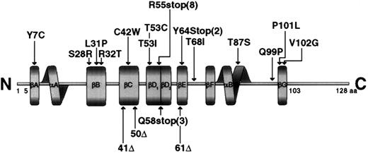 Fig. 4. Schematic representation of the SH2D1A protein molecule showing the mutations found in the gene. / The boundaries of the secondary structural elements are indicated by solid boxes, and the notation for these elements is as described.9