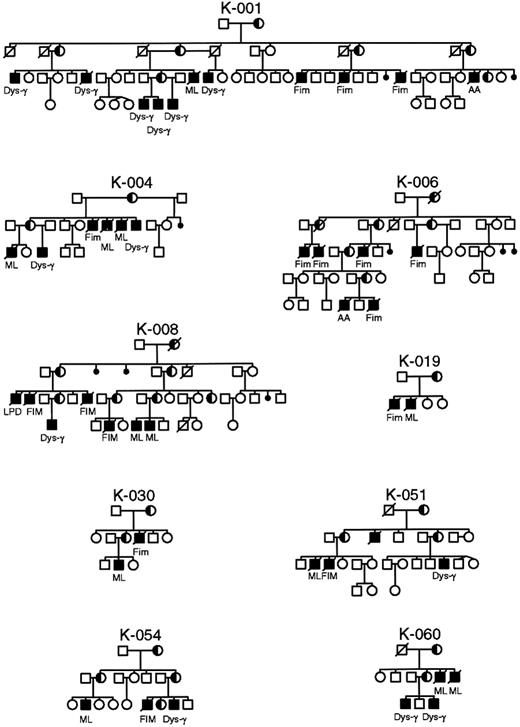 Fig. 5. Pedigrees of XLP families in whom identical mutations in the SH2D1A gene manifest different phenotypes within the same family. / AA, aplastic anemia; Dys-γ, dysgammaglobulinemia; FIM, fulminant infectious mononucleosis; ML, malignant lymphoma.