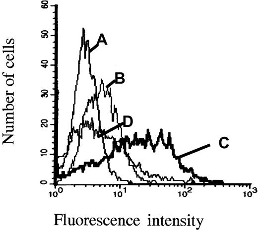 Fig. 4. Expresssion of cell surface syndecan-1 increases HGF binding by ARH-77 cells. / ARH-77neo and ARH-77syn-1 cells were incubated with HGF, washed, and labeled with the HGF antibody 3F4 and FITC-conjugated goat antimouse antibody. (A), ARH-77syn-1cells labeled with an irrelevant antibody and (B) ARH-77neocells, which do not express syndecan-1, were faintly stained with the anti-HGF antibody, in contrast to (C) ARH-77syn-1 cells, which express large amounts of syndecan-1 on the surface and were stained with the anti-HGF antibody. (D) ARH-77syn-1 cells do not bind HGF when they are treated with heparitinase (0.01 U/106 cells, 30 minutes) before HGF incubation.