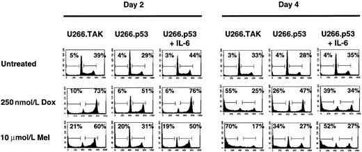 Fig. 2. Expression of p53 protects U266 cells from Dox- and Mel-induced apoptosis. / Cells were incubated in the absence of IL-6 for 3 days before each treatment. Cells were treated with IL-6, Dox, or Mel as indicated and were harvested on days 2 and 4 for cell cycle and apoptosis analyses. Percentages of cells in each stage of the cell cycle were determined by PI staining of nuclei and then by flow cytometry analysis. The number in the left corner represents the apoptotic fraction, and the number in the right corner represents the combined S and G2/M stages of the cell cycle. Data shown are representative of at least 3 independent experiments.