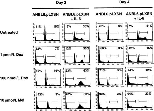 Fig. 3. IL-6 protects ANBL6 cells from Dex- and Mel- but not Dox-induced apoptosis. / Cells were incubated in the absence of IL-6 for 3 days before each treatment. Cells were treated with IL-6, Dex, Dox, or Mel as indicated and were harvested on days 2 and 4 for cell cycle and apoptosis analyses. Percentages of cells in each stage of the cell cycle were determined by PI staining of nuclei and then by flow cytometry analysis. The number in the left corner represents the apoptotic fraction, and the number in the right corner represents the combined S and G2/M stages of the cell cycle. Data shown are representative of at least 3 independent experiments.