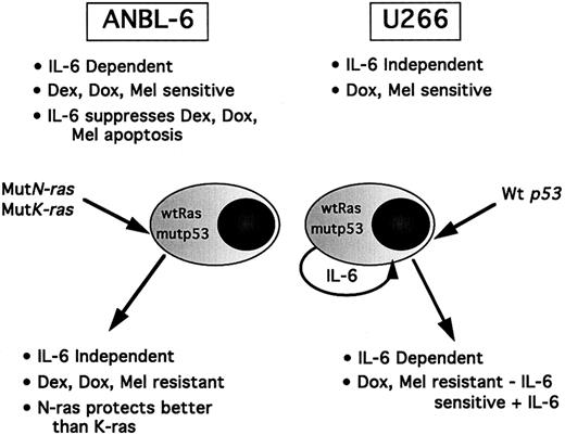 Fig. 5. Genetically engineered cell lines can be used to study the effect of a single-gene mutation on cell cycle, apoptosis, and response to therapy.