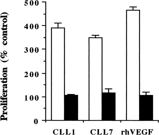 Fig. 5. Proliferation of endothelial cells in response to CLL-cell–derived CM. / HUVECS were cultured in the presence of CM derived from the PMA-stimulated cells of 2 CLL patients (CLL1, CLL7), using rhVEGF protein as a positive control (■). In the same experiment, the CM was preincubated with a neutralizing anti-hVEGF mAb for 1 hour at RT before addition to endothelial cell cultures (▪). After 48 hours, proliferation was assessed by 3H-thymidine incorporation. Proliferation of cells cultured in the medium without CM was considered as 100%; blocking anti-hVEGF mAb had no effect on this proliferation.