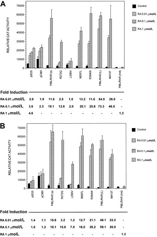 Fig. 4. Transcriptional activity of wild-type and mutant PML/RARα fusion proteins. / DR5-tk-CAT (A) or TREpal-tk-CAT (B) reporters were cotransfected with the indicated PML/RARα. The pCMX and the pSG5 represent the vectors alone. Relative CAT activity without (control) or with indicated concentrations of RA is shown, with the calculated corresponding fold induction below. Each data point represents results from at least 3 independent transfections. Control, ▪; RA 0.01 μmol/L, ▧; RA 0.1 μmol/L, ▤; RA 1 μmol/L, ▨.