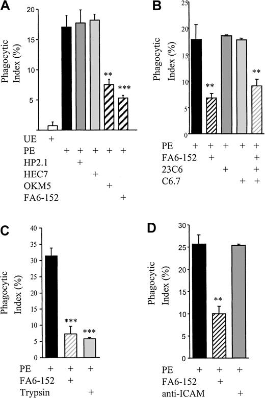 Fig. 4. Nonopsonic PE phagocytosis is inhibited with anti-CD36 antibodies. / (A) Fc receptor–blocked monocytes were pretreated with 10-μg/mL monoclonal anti-CD36 (OKM5, FA6-152), anti-CD49d (HP2.1), or anti–PECAM-1 (HEC7) antibodies for 20 minutes at room temperature and then washed. Phagocytosis assays with synchronized PE cultures were performed as before. (B) Fc receptor–blocked monocytes were pretreated with 10-μg/mL monoclonal anti-TSP (C6.7), anti-αvβ3 (23C6), or anti-CD36 antibodies for 30 minutes and washed. Phagocytosis assays were performed as before. (C) Synchronized PEs were suspended in a 0.05% trypsin-EDTA solution and incubated at 37°C for 30 minutes. PEs were then washed twice, and phagocytosis assays were performed as before. Alternatively, Fc receptor–blocked monocytes were pretreated with 10-μg/mL monoclonal anti-CD36, and phagocytosis assays were performed as before. (D) Fc receptor–blocked monocytes were pretreated with 10-μg/mL monoclonal anti–ICAM-1 or anti-CD36 antibody for 30 minutes and washed. Phagocytosis assays were performed as before. In all cases, cumulative data from at least 3 independent experiments are presented as mean ± SEM; n ≥ 3 per group. **, P < .01; ***,P < .001 vs PEs (ANOVA with post hoc Tukey).
