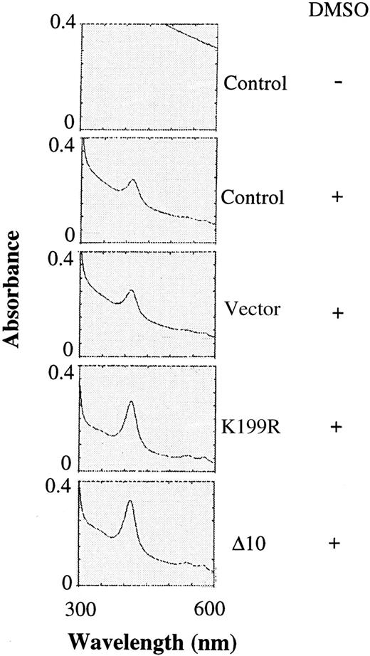 Fig. 4. Hemoglobin contents of differentiating MEL cells expressing inactive mutant HRI. / The same cytoplasmic extracts described in Figure 3 were diluted 1:5 and then analyzed for the presence of the Soret band of hemoglobin at 414 nm by scanning from 300 to 600 nm as described previously.29