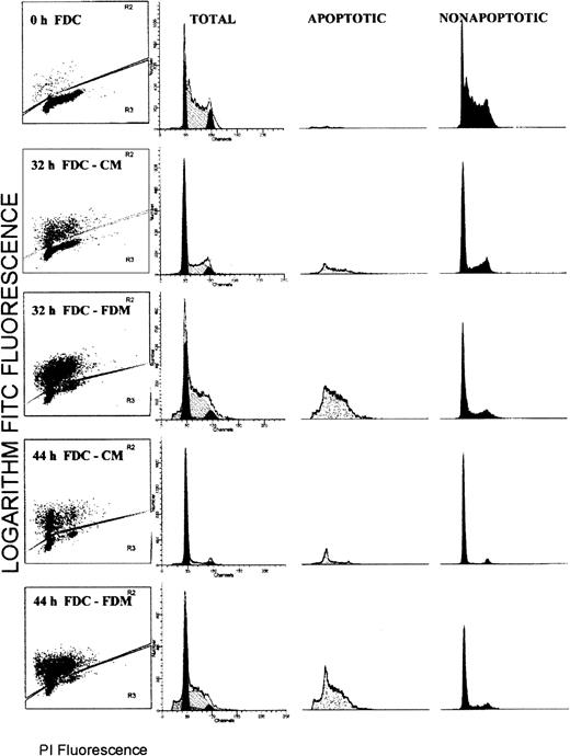 Fig. 1. Flow cytometry distributions of total erythroblasts according to the apoptosis status and the phase of the cell cycle. / Folate-deficient erythroid cells (FDCs) were cultured for 32 or 44 hours in folate-deficient medium (FDM) or control folate-replete medium (CM). The fixed cells were labeled with FITC-dUTP via the TUNEL method and stained for total DNA with propidium iodide (PI). In column 1, each histogram is divided into brightly fluorescent, TUNEL positive, apoptotic cells and faintly fluorescent, TUNEL negative, nonapoptotic cells. In columns 2, 3, and 4, the distribution of PI fluorescence is shown for the total, apoptotic, and nonapoptotic cell populations, respectively. In column 2, the distribution of the modeled cell cycle phases are shown: G0/G1phase, solid peak of least PI fluorescence; S phase, hatched peak of intermediate PI fluorescence; and G2/M phase, the solid peak of greatest PI fluorescence.