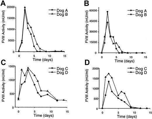 Fig. 2. Plasma FVIII expression levels in treated hemophilic dogs. / Plasma was collected from the dogs at the indicated times prior to and following vector treatment and assessed for FVIII biologic activity. (A) One-stage FVIII coagulant assay (APTT) plasma analyses from dogs treated with the higher vector dose (3 × 1012particles/kg). (B) Coatest bioassay plasma analyses from dogs treated with higher vector dose (3 × 1012 particles/kg). (C) One-stage FVIII coagulant assay (APTT) plasma analyses from dogs treated with the lower vector dose (6 × 1011particles/kg). (D) Coatest bioassay plasma analyses from dogs treated with the lower vector dose (6 × 1011particles/kg).