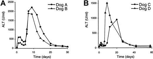 Fig. 3. Plasma liver enzyme analyses. / Plasma was collected from the dogs at the indicated times prior to and following vector treatment and assessed for the presence of the liver enzyme ALT. (A) ALT analyses of dogs that received the higher vector dose (3 × 1012 particles/kg). (B) ALT analyses of dogs that received the lower vector dose (6 × 1011particles/kg). Pretreatment ALT value for dog A was 54 U/mL; at 22 months, ALT was 69 U/mL. Pretreatment ALT value for dog B was 47 U/mL; at 22 months, ALT was 55 U/mL. Pretreatment ALT value for dog C was 46 U/mL; at 16 months, ALT was 33 U/mL. Pretreatment ALT value for dog D was 44 U/mL; at 16 months, ALT was 47 U/mL.