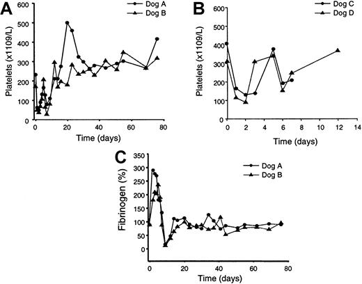 Fig. 5. Platelet counts and fibrinogen levels of treated dogs. / Blood was collected from the dogs at the indicated times prior to and following vector treatment and platelet and fibrinogen levels were measured. (A) Platelet counts in the dogs treated with the higher vector dose (3 × 1012 particles/kg). (B) Platelet counts in the dogs treated with the lower vector dose (6 × 1011particles/kg). (C) Fibrinogen levels in the dogs treated with the higher vector dose. Pretreatment platelet counts for dog A were 231 (× 1109/L); 22-month counts were 276 (× 1109/L). Pretreatment platelet counts for dog B were 169 (× 1109/L); 22-month counts were 240 (× 1109/L). Pretreatment platelet counts for dog C were 405 (× 1109/L); 16-month counts were 185 (× 1109/L). Pretreatment platelet counts for dog D were 312 (× 1109/L); 16-month counts were 168 (× 1109/L).