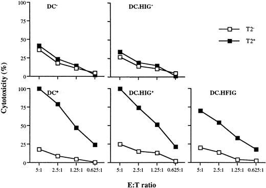 Fig. 6. Restimulation of Flu-specific CTLs with monocyte-derived DCs. / Ten days after primary induction the T cells in each group (as for Figure 5) were restimulated with newly generated untransduced DCs (DC−, DC+), HIG (DC.HIG−, DC.HIG+), or HFIG (DC.HFIG)-transduced DCs.