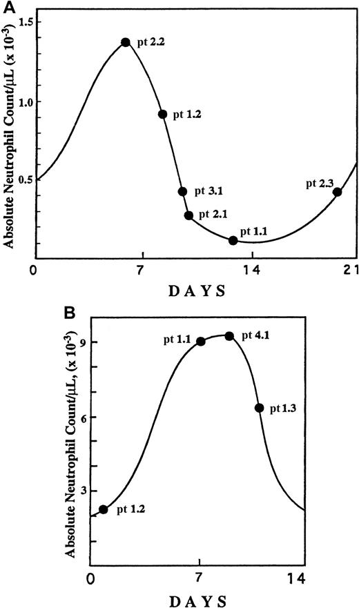 Fig. 1. Specific time points of the neutropenia cycle at which bone marrow aspirations were obtained from CN patients. / The aspirations were obtained prior to (A) and during (B) G-CSF treatment. The specific cycle day is based upon serial blood counts for each patient before and after the bone marrow aspiration. Numbers designate specific families and patients (eg, pt 1.2 represents family 1, patient 2).