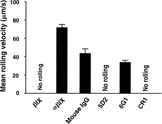 Fig. 5. Effect of anti-vWF monoclonal antibodies on binding of GP Ibα-expressing CHO cells to vWF under flow. / The experiment was conducted as in Figure 4 except that the vWF-coated surfaces, rather than the cells, were pretreated with monoclonal antibodies (25 μg/mL, 15 minutes). Results are the means of analysis of 300 to 700 cells from 3 to 5 experimental runs.