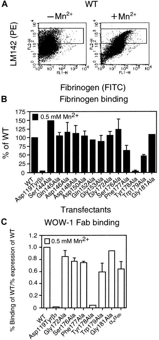 Fig. 3. Ligand-binding function of αvβ3 mutants. / (A) The binding of soluble fibrinogen and a ligand-mimetic mAb, WOW-1 Fab, to WT or mutant αvβ3 were examined in the presence or absence of 0.5 mM MnCl2 by flow cytometry. For fibrinogen binding, washed cells were first incubated with 5 μg/mL mAb LM142 (specific for αv) for 30 minutes on ice. After washing, cells with 0.5 mM MnCl2 were incubated with 150 μg/mL FITC-conjugated fibrinogen and PE-conjugated antimouse IgG (1:5 dilution) for 25 minutes at 22°C and then incubated with PI for 5 minutes at 22°C. After washing, fibrinogen binding (FL1) was analyzed on the gated subset of single, high αvβ3 expression (FL2) and live cells (PI-negative, FL3) as indicated. (B) Relative amounts of fibrinogen binding are normalized to a 100% value for the binding to cells expressing WT αvβ3 (% of WT). Fibrinogen binding in the presence of 1 mM RGDW was used as a negative control. Data represent the mean ± SE of 3 experiments. (C) WOW-1 Fab binding. For WOW-1 binding, cells with 0.5 mM MnCl2 were first incubated with 5 μg/ml WOW-1 Fab for 30 minutes at 22°C. After washing, cells were incubated with 5 μg/mL Alexa-conjugated antimouse IgG for 25 minutes on ice and then incubated with PI for 5 minutes at 22°C. After washing, bound antibodies were analyzed. WOW-1 binding to 293 cells was used as a negative control. Relative amounts of WOW-1 Fab binding are expressed by the following formula: % binding of WOW-1 Fab to WT αvβ3/% binding of LM609 to WT αvβ3. The αvαIIb mutant represents a chimera in which the C142-C155 loop in αv was swapped with the corresponding sequence of αIIb C146-C167. Data represent the mean ± SE of 3 experiments.