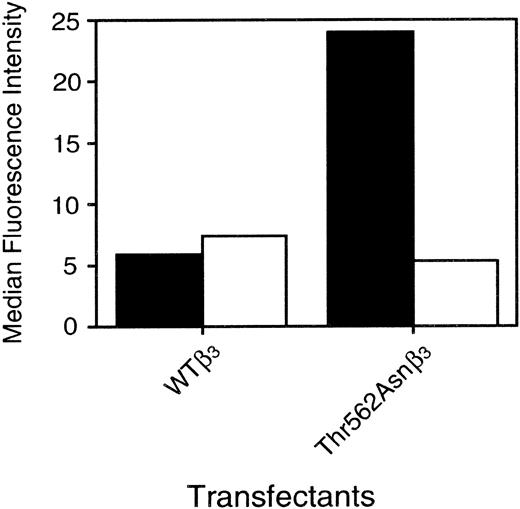 Fig. 4. Effects of β3-activating mutant (T562N) on fibrinogen binding. / WT (▪) or Y178Aαv (■) construct was transiently cotransfected with WT or T562Nβ3 construct into 293 cells. Fibrinogen binding to transfected αvβ3 was determined by flow cytometry. Cells were first incubated with 5 μg/mL LM142 (specific for αv) for 30 minutes on ice. After washing, cells were incubated with 150 μg/mL FITC-conjugated fibrinogen and PE-conjugated antimouse IgG for 25 minutes at 22°C in the presence or absence of 1 mM RGDW and then incubated with PI for 5 minutes at 22°C. After washing, cells expressing high levels of transfected αvβ3 were analyzed. In these experiments, all were performed in the absence of MnCl2. The results are representative of 3 separate experiments.