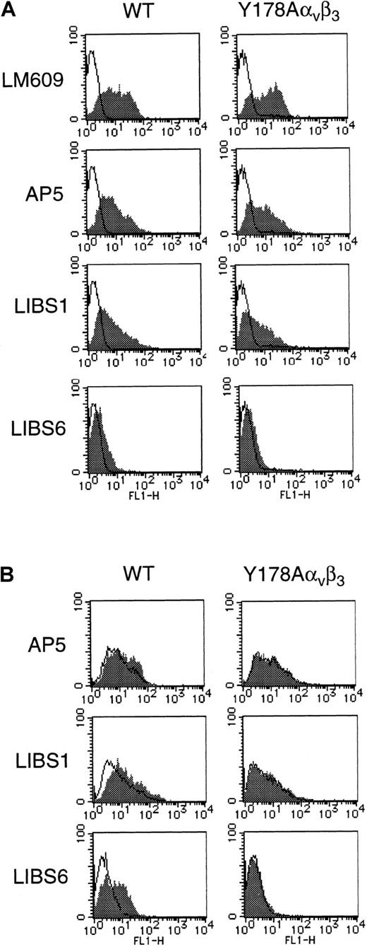 Fig. 5. LIBS expression on Y178Aαvβ3mutant. / WT or Y178Aαv construct was transiently cotransfected with WT β3 construct into 293 cells. Three different mAbs specific for β3 LIBS (AP5, anti-LIBS1, and anti-LIBS6) were employed to assess the LIBS expression, and LM609 (specific for αvβ3) was employed to monitor the surface expression of transfected αvβ3. (A) LIBS expression in the absence of RGDW peptide. Closed and open histograms represent the binding of anti-LIBS antibodies and control mouse IgG1, respectively. The results are representative of 2 separate experiments. (B) LIBS expression in the presence (▪) or absence (■) of 1 mM RGDW peptide. Closed and open histograms represent the binding of anti-LIBS antibodies in the presence and absence of RGDW, respectively. The results are representative of 2 separate experiments.