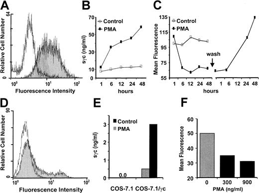 Fig. 5. Sγc is generated by proteolytic shedding of membrane-bound γc. / (A) On the surfaces of EL-4 cells, γc expression was detected by flow cytometry with an isotype-matched control mAb (white graph) or TUGm2 mAb (gray graph). (B) PMA induces the release of sγc by EL-4 cells. 2 × 106 cells/mL were cultured in the presence or absence of PMA (250 ng/mL), and at the time-points indicated the sγc concentrations in the culture supernatants were measured by ELISA. (C) Decreased expression of membrane-bound γc of EL-4 cells in the presence of PMA and re-expression after PMA withdrawal. In parallel to the sγc measurements in the supernatants (see B), cell surface expression of γc was analyzed by flow cytometry. Forty-eight hours after stimulation, the cells were washed and the re-occurrence of the γc was measured. Ratios of the mean fluorescence (MF) of stimulated cells divided by the MF of nonstimulated cells are depicted. (D) Expression of full-length transmembrane γc by transfected COS-7.1 cells. Graphs appear as described for panel A. (E) Enhanced release of sγc by COS-7.1/γc, but not control transfected COS-7.1, cells in the presence of PMA (300 ng/mL). (F) PMA dose-dependent decrease of the MF after staining the surface-bound γc on COS-7.1/γc cells.
