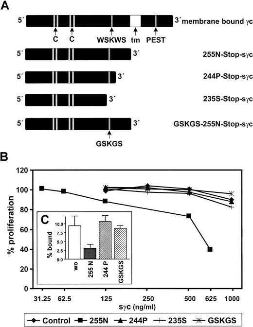 Fig. 7. Requirement of the C-terminus and the WSKWS motif of the sγc for cytokine-inhibitory activity and binding to cells. / (A) Two C-terminal deletions (244P, 235S), and a double-point mutant (GSKGS instead of WSKWS) were generated by site-directed mutagenesis and expressed in 293 EBNA cells. tm, transmembrane domain. (B) CTLL-2 cells were preincubated with different sγc variants at concentrations indicated or equally treated control supernatant 30 minutes before adding IL-2 (2 ng/mL). Cell proliferation was determined as described in the legend to Figure 6. (C) Affinity-purified 125I-sγc (255N) and IL-4 were added to human TF-1 cells expressing murine IL-4R in the presence or absence of 200-fold excess amounts of unlabeled 255N-Stop-sγc, 244P-Stop-sγc, or GSKGS-255N-Stop-sγc, respectively. The percentages of cell-bound 125I-sγc were determined as described in “Materials and methods.” Data given are the mean (± SEM) of triplicate determinations.