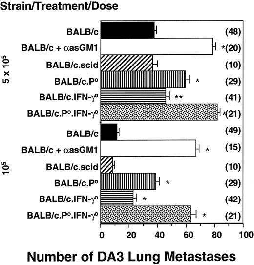 Fig. 2. NK-cell–mediated control of spontaneous metastasis by independent pfp and IFN-γ activities. / BALB/c, BALB/c.SCID, BALB/c.IFN-γ0, BALB/c.pfp0, and BALB/c pfp0.IFN-γ0 mice or BALB/c mice treated with anti-asialo GM1 antibody (100 μg/injection) were inoculated subcutaneously with DA3 tumor cells (105 or 5 × 105) as indicated. Mice depleted of subsets in vivo were treated on days −4, 0 (day of subcutaneous tumor inoculation), and weekly thereafter. Forty-two days after tumor inoculation, the lungs of these mice were harvested and fixed, and colonies were counted and recorded as the mean number of colonies ± SE. Asterisks indicate the groups that are significantly different from BALB/c-untreated mice (*P < .0001; **P < .005; Mann-Whitney U test). A significant difference was also detected between the BALB/c.P0 mice or BALB/c.IFN-γ0 mice and BALB/cP0.IFN-γ0 mice (P < .0001). The number of mice per group is shown in parentheses. Note that for groups of 5 mice receiving 105DA3 tumor cells, the numbers of DA3 lung colonies were as follows: BALB/c.B6Cmv1r = 8.0 ± 2.6; BALB/c.B6Cmv1r + anti-asialo GM1 antibody = 62.4 ± 6.6.