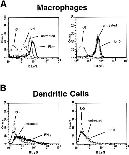 Fig. 2. Membrane-bound BLyS expression on macrophages and dendritic cells. / The presence of membrane-bound BLyS on (A) macrophages and (B) dendritic cells was analyzed by FACS analysis after a 3-day incubation in the presence of IFN-γ, IL-10, or IL-4. A representative experiment is shown.