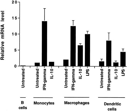 Fig. 3. BLyS mRNA levels in cells of monocytic origin. / Monocytes, macrophages, dendritic cells, or B cells were cultured for 1 day with or without factors. Quantitative PCR was conducted as reported in “Materials and methods.” Expression levels in all the cell types tested are shown relative to the expression level in resting monocytes.