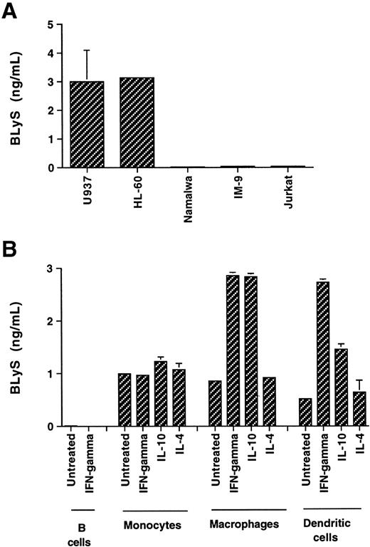 Fig. 4. Soluble BLyS is released from myeloid cells. / The amount of released BLyS was determined by ELISA in the medium, which was conditioned for 3 days, from the following cell cultures: (A) U937, HL-60, Namalwa, IM-9, and Jurkat (plated at the cell density of 1 × 106 cells per mL) and (B) 3 × 106 cells per mL B cells and monocytes and 1 × 106 cells per mL macrophages and dendritic cells.